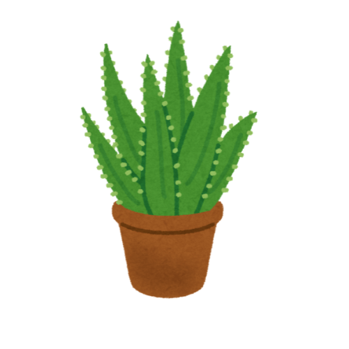 Aloe-Vera